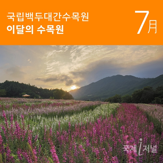 국립백두대간수목원 ‘이달의 수목원 7월’ 공개