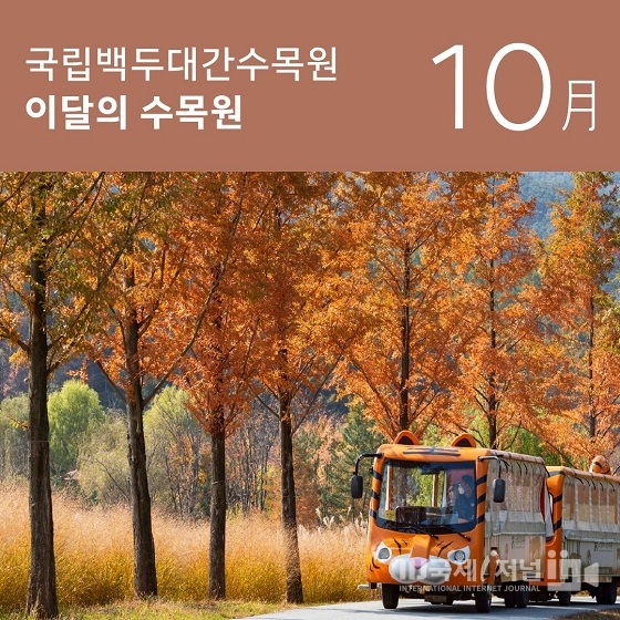국립백두대간수목원 ‘이달의 수목원 10월’ 공개