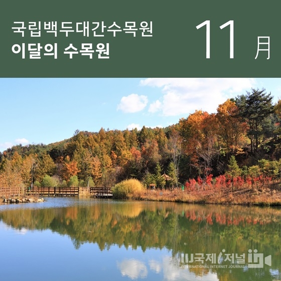 국립백두대간수목원 ‘이달의 수목원 11월’ 공개